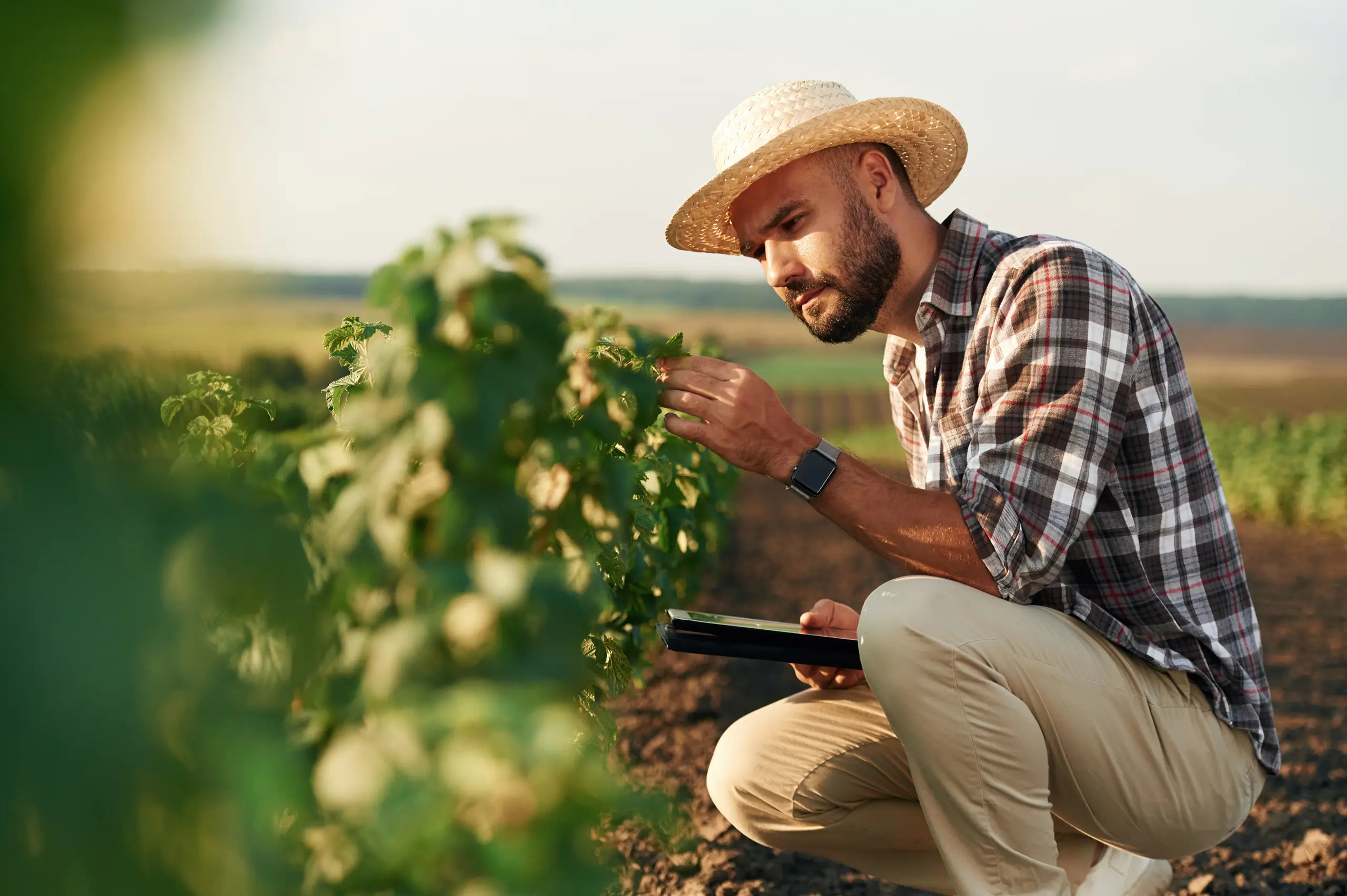 Kelsons Agroallied Industries and Commodities Merchandise Ltd.